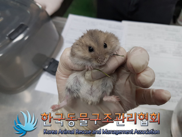 한국동물구조관리협회_441559202401420